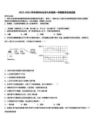 2023-2024学年潍坊市化学九年级第一学期期末检测试题含解析.doc