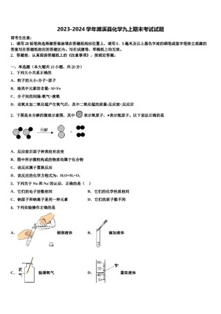 2023-2024学年濉溪县化学九上期末考试试题含解析.doc