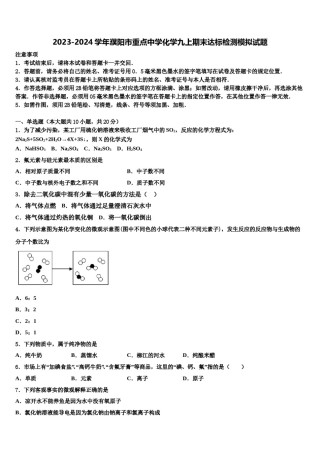 2023-2024学年濮阳市重点中学化学九上期末达标检测模拟试题含解析.doc
