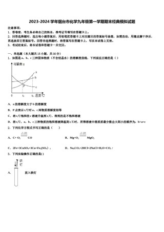 2023-2024学年烟台市化学九年级第一学期期末经典模拟试题含解析.doc