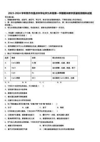2023-2024学年焦作市重点中学化学九年级第一学期期末教学质量检测模拟试题含解析.doc