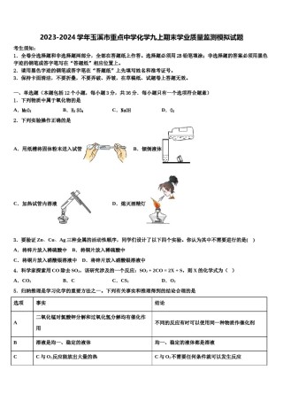 2023-2024学年玉溪市重点中学化学九上期末学业质量监测模拟试题含解析.doc
