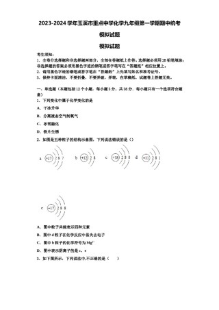 2023-2024学年玉溪市重点中学化学九年级第一学期期中统考模拟试题含解析.doc