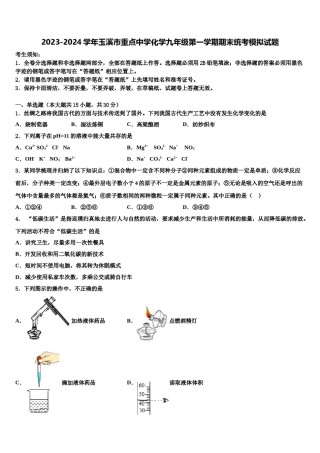 2023-2024学年玉溪市重点中学化学九年级第一学期期末统考模拟试题含解析.doc