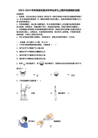 2023-2024学年珠海市重点中学化学九上期中经典模拟试题含解析.doc