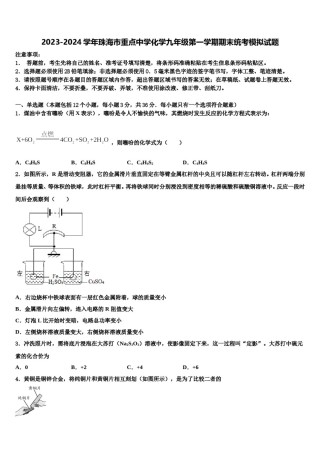 2023-2024学年珠海市重点中学化学九年级第一学期期末统考模拟试题含解析.doc
