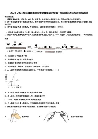 2023-2024学年甘南市重点中学九年级化学第一学期期末达标检测模拟试题含解析.doc