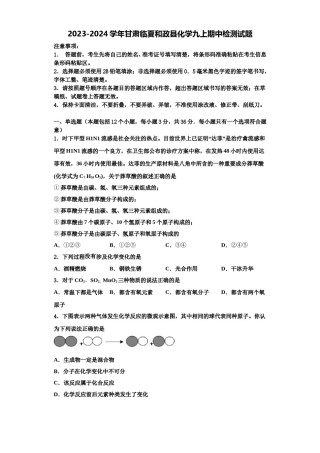 2023-2024学年甘肃临夏和政县化学九上期中检测试题含解析.doc