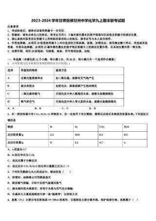 2023-2024学年甘肃张掖甘州中学化学九上期末联考试题含解析.doc