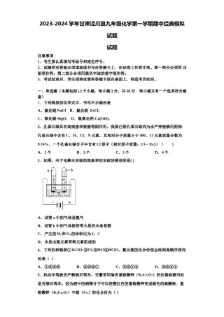 2023-2024学年甘肃泾川县九年级化学第一学期期中经典模拟试题含解析.doc