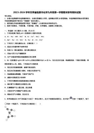 2023-2024学年甘肃省临夏市化学九年级第一学期期末联考模拟试题含解析.doc