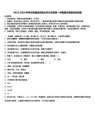 2023-2024学年甘肃省临泽县化学九年级第一学期期末质量检测试题含解析.doc
