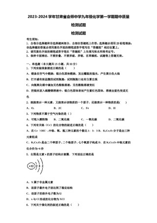2023-2024学年甘肃省会师中学九年级化学第一学期期中质量检测试题含解析.doc