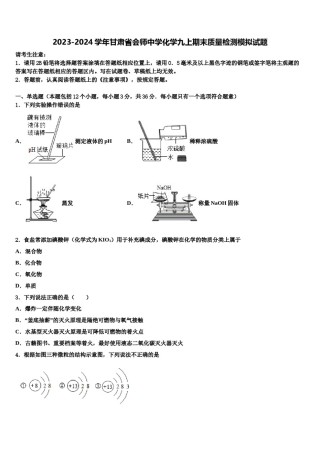 2023-2024学年甘肃省会师中学化学九上期末质量检测模拟试题含解析.doc