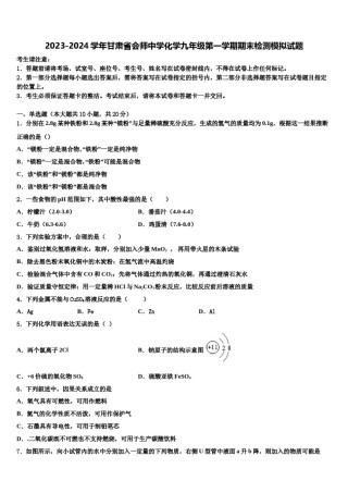 2023-2024学年甘肃省会师中学化学九年级第一学期期末检测模拟试题含解析.doc