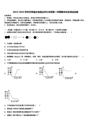 2023-2024学年甘肃省古浪县化学九年级第一学期期末综合测试试题含解析.doc
