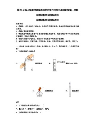 2023-2024学年甘肃省嘉峪关市第六中学九年级化学第一学期期中达标检测模拟试题含解析.doc