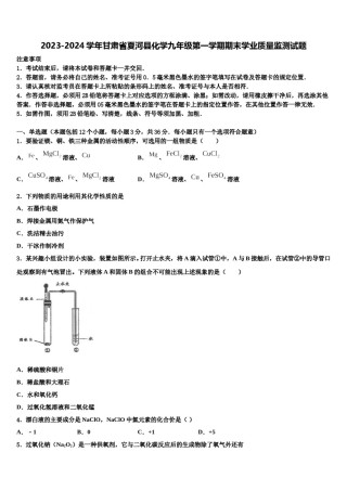 2023-2024学年甘肃省夏河县化学九年级第一学期期末学业质量监测试题含解析.doc