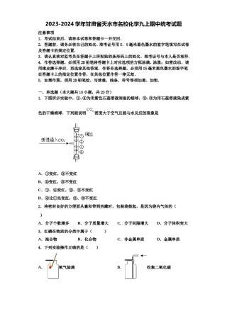 2023-2024学年甘肃省天水市名校化学九上期中统考试题含解析.doc