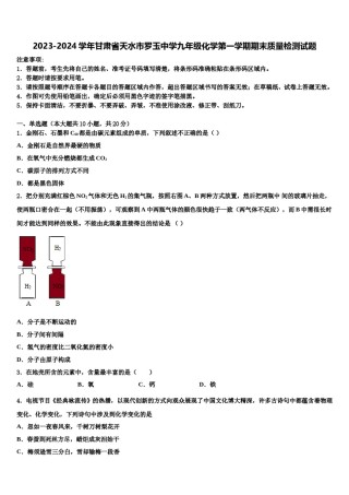 2023-2024学年甘肃省天水市罗玉中学九年级化学第一学期期末质量检测试题含解析.doc