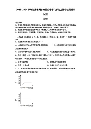 2023-2024学年甘肃省天水市重点中学化学九上期中检测模拟试题含解析.doc
