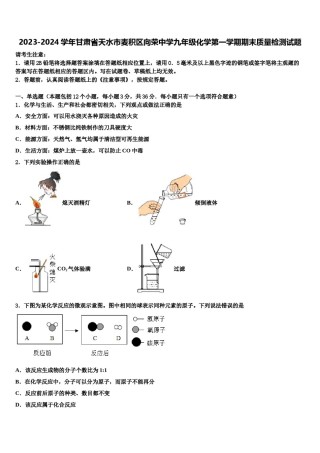 2023-2024学年甘肃省天水市麦积区向荣中学九年级化学第一学期期末质量检测试题含解析.doc