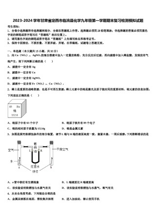 2023-2024学年甘肃省定西市临洮县化学九年级第一学期期末复习检测模拟试题含解析.doc