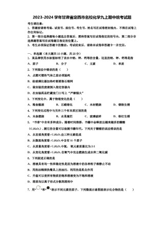 2023-2024学年甘肃省定西市名校化学九上期中统考试题含解析.doc