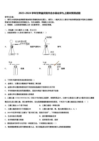 2023-2024学年甘肃省庆阳市合水县化学九上期末预测试题含解析.doc