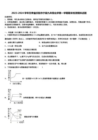 2023-2024学年甘肃省庆阳市宁县九年级化学第一学期期末检测模拟试题含解析.doc