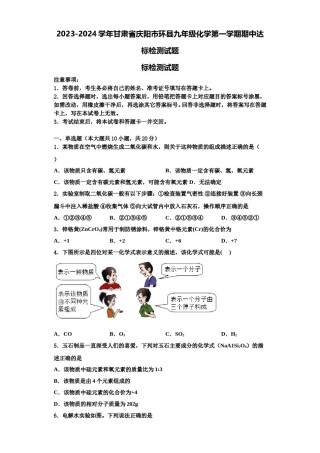 2023-2024学年甘肃省庆阳市环县九年级化学第一学期期中达标检测试题含解析.doc