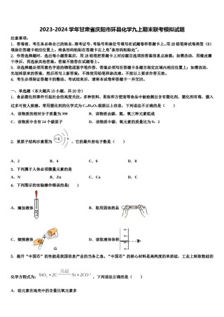 2023-2024学年甘肃省庆阳市环县化学九上期末联考模拟试题含解析.doc