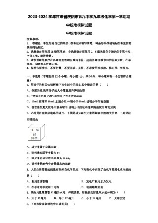 2023-2024学年甘肃省庆阳市第九中学九年级化学第一学期期中统考模拟试题含解析.doc