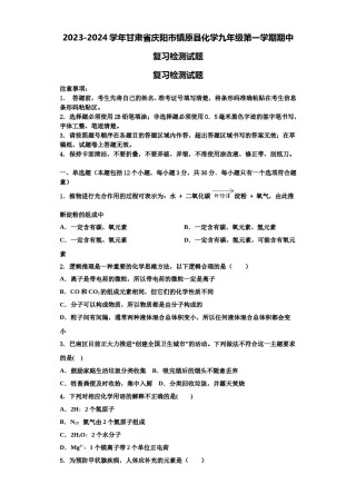 2023-2024学年甘肃省庆阳市镇原县化学九年级第一学期期中复习检测试题含解析.doc