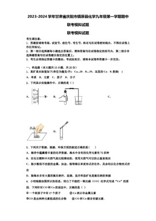 2023-2024学年甘肃省庆阳市镇原县化学九年级第一学期期中联考模拟试题含解析.doc