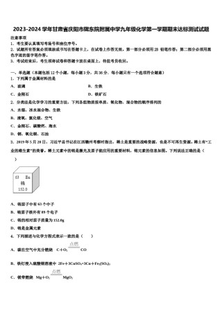 2023-2024学年甘肃省庆阳市陇东院附属中学九年级化学第一学期期末达标测试试题含解析.doc