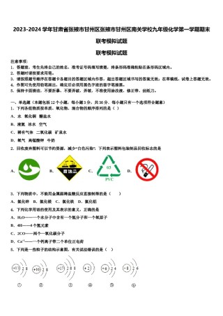 2023-2024学年甘肃省张掖市甘州区张掖市甘州区南关学校九年级化学第一学期期末联考模拟试题含解析.doc