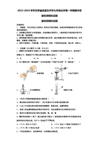 2023-2024学年甘肃省武威五中学九年级化学第一学期期中质量检测模拟试题含解析.doc