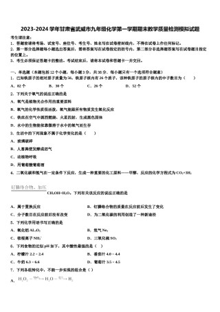 2023-2024学年甘肃省武威市九年级化学第一学期期末教学质量检测模拟试题含解析.doc