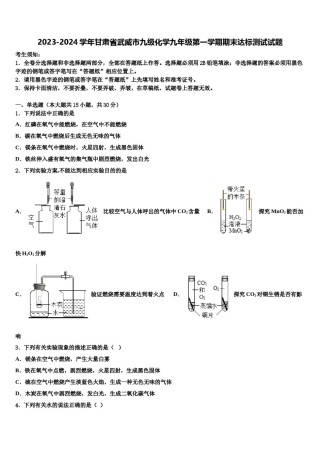 2023-2024学年甘肃省武威市九级化学九年级第一学期期末达标测试试题含解析.doc