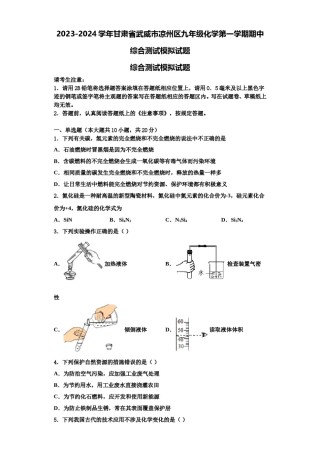 2023-2024学年甘肃省武威市凉州区九年级化学第一学期期中综合测试模拟试题含解析.doc