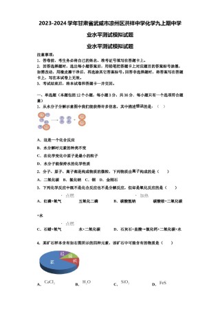 2023-2024学年甘肃省武威市凉州区洪祥中学化学九上期中学业水平测试模拟试题含解析.doc