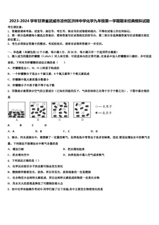 2023-2024学年甘肃省武威市凉州区洪祥中学化学九年级第一学期期末经典模拟试题含解析.doc