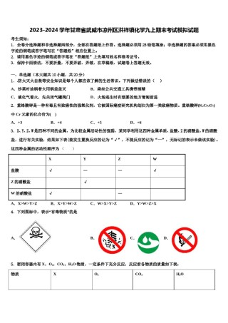 2023-2024学年甘肃省武威市凉州区洪祥镇化学九上期末考试模拟试题含解析.doc