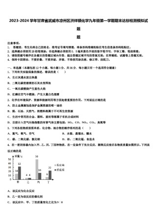 2023-2024学年甘肃省武威市凉州区洪祥镇化学九年级第一学期期末达标检测模拟试题含解析.doc