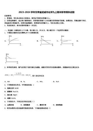 2023-2024学年甘肃省武威市化学九上期末联考模拟试题含解析.doc