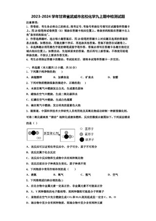 2023-2024学年甘肃省武威市名校化学九上期中检测试题含解析.doc