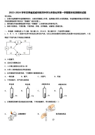 2023-2024学年甘肃省武威市新河中学九年级化学第一学期期末检测模拟试题含解析.doc