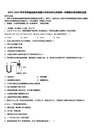 2023-2024学年甘肃省武威市民勤六中学化学九年级第一学期期末考试模拟试题含解析.doc