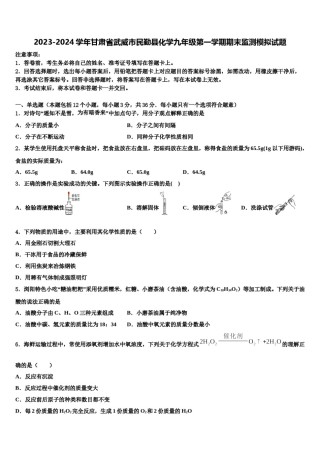 2023-2024学年甘肃省武威市民勤县化学九年级第一学期期末监测模拟试题含解析.doc
